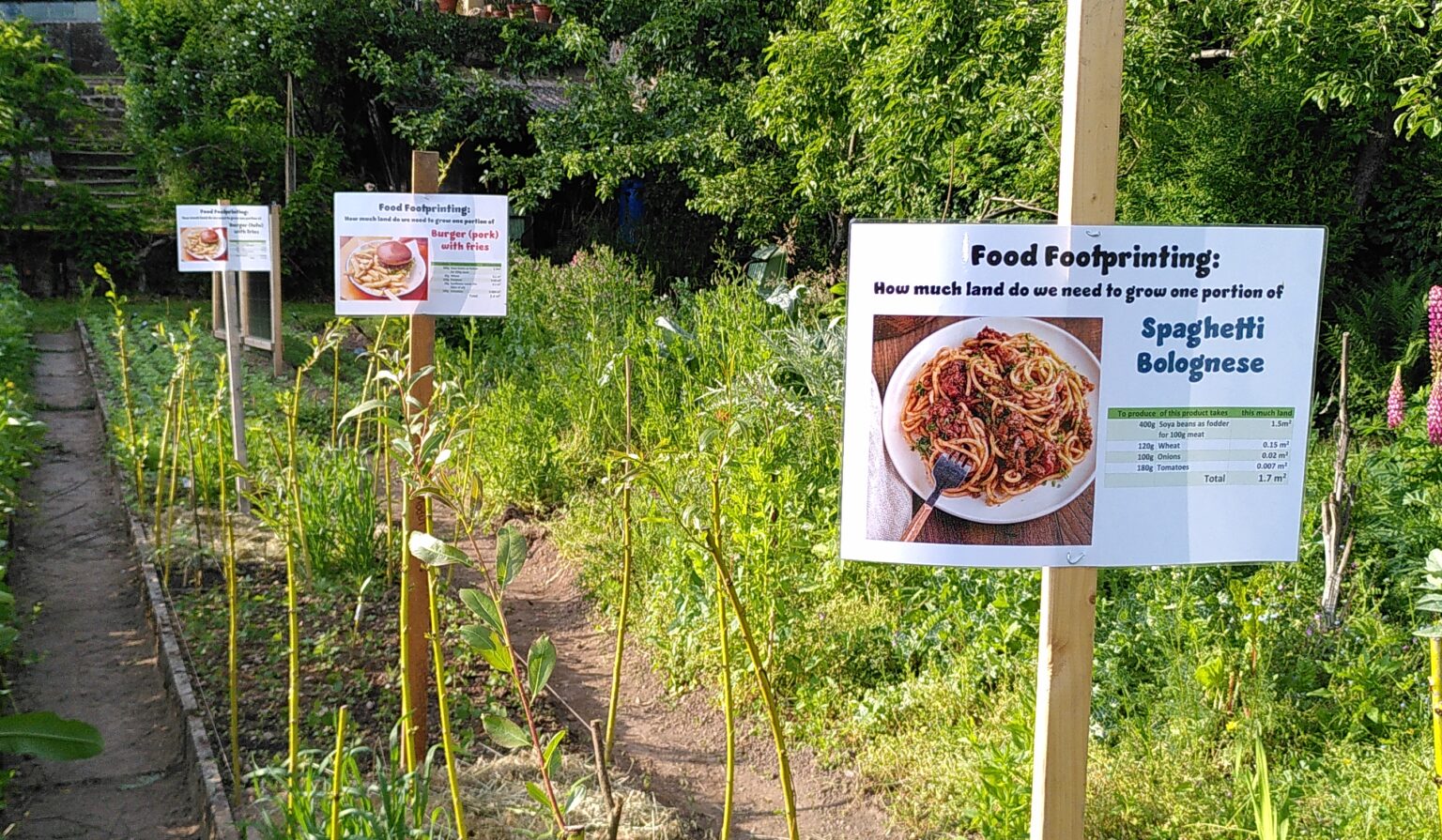 Food Footprinting – Finding out how much land your food needs