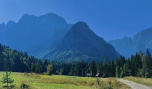 Outdoor and nature experience in Val Saisera