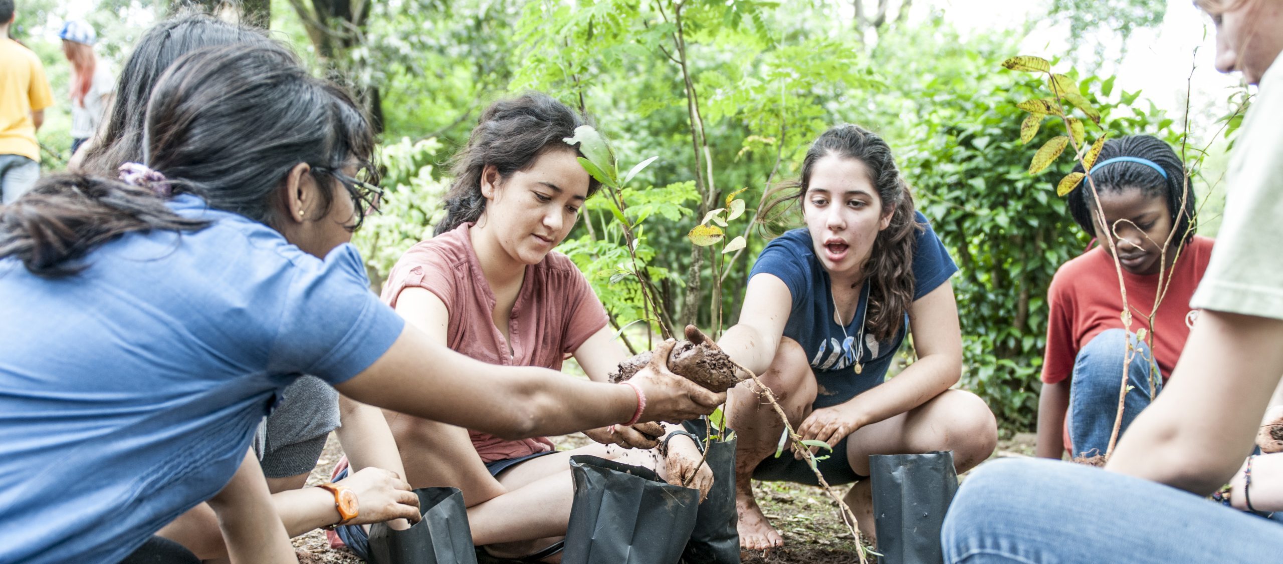 Sustainability Activities