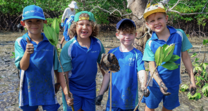 Rooted in Action: A School-Wide Mangrove Planting Effort