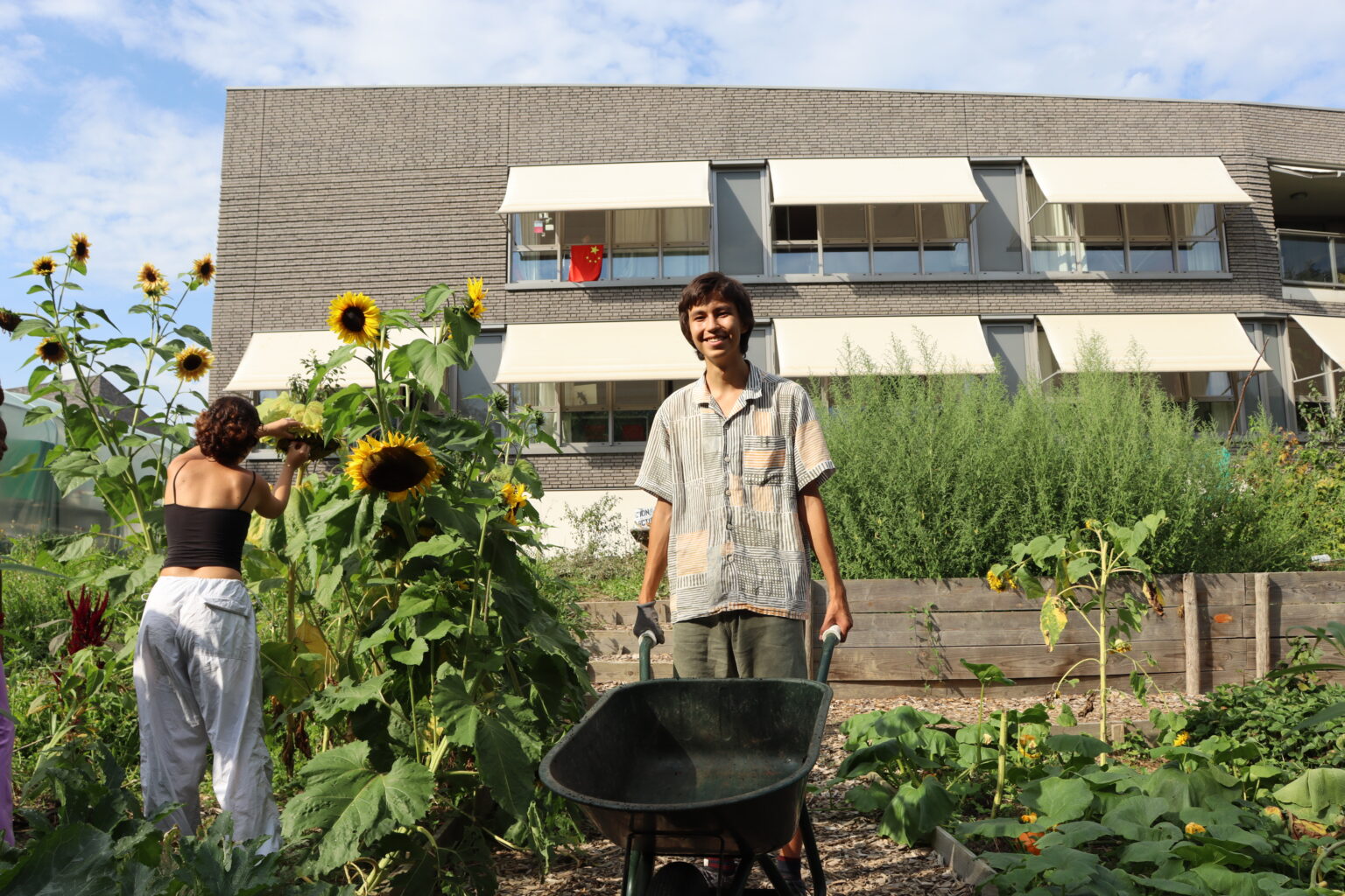 Permaculture Garden and Tree Nursery Project