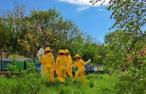 Gardening day – save the bees