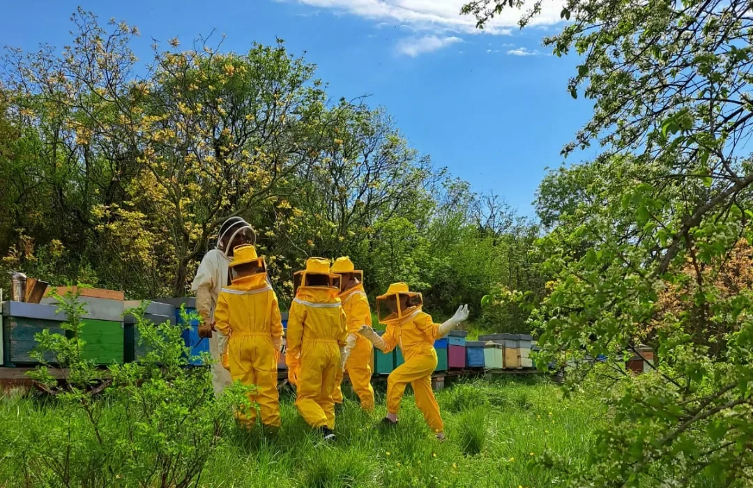 Gardening day – save the bees