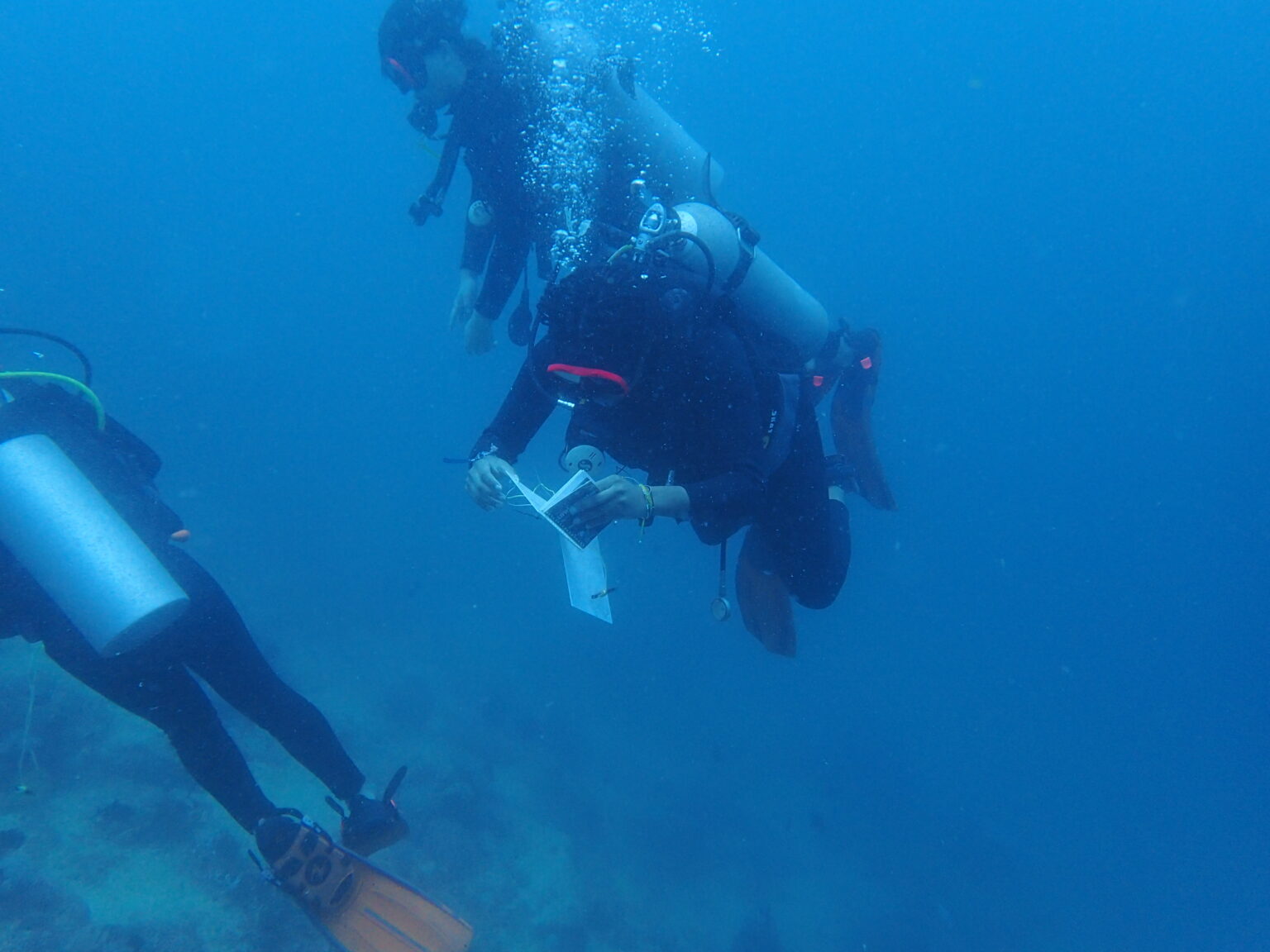 A dive into the future of our oceans