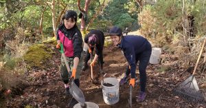 Pearson UWC CAS Week