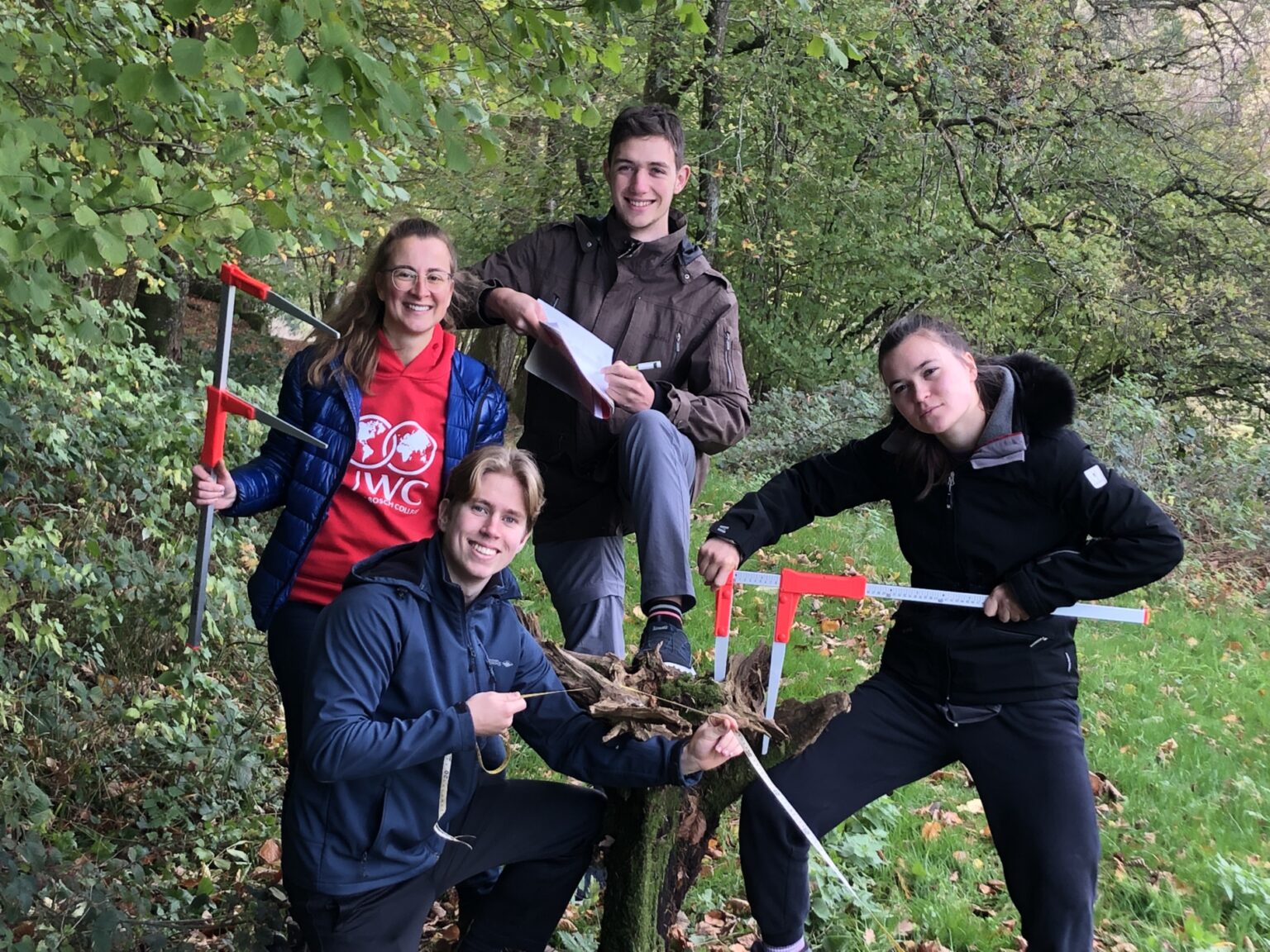 Experiential Learning in our school forest