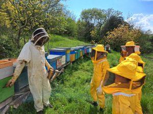 Esperienza Carsolina – save the bees