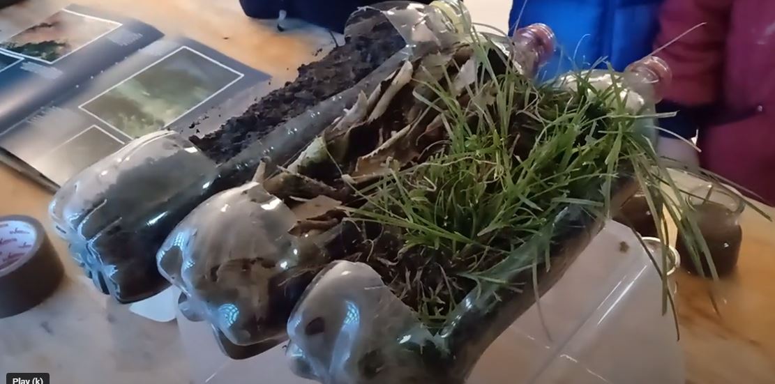 Soil and water: a source for life!