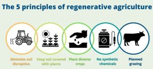 Regenerative farming – bringing solutions into the ESS classroom