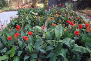 Ecological Sewage Treatment Plant