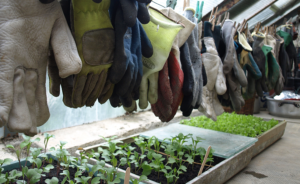 Klostergarten Service