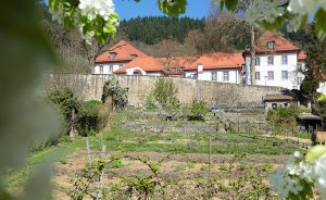 School Garden at the heart of RBC’s sustainability concept