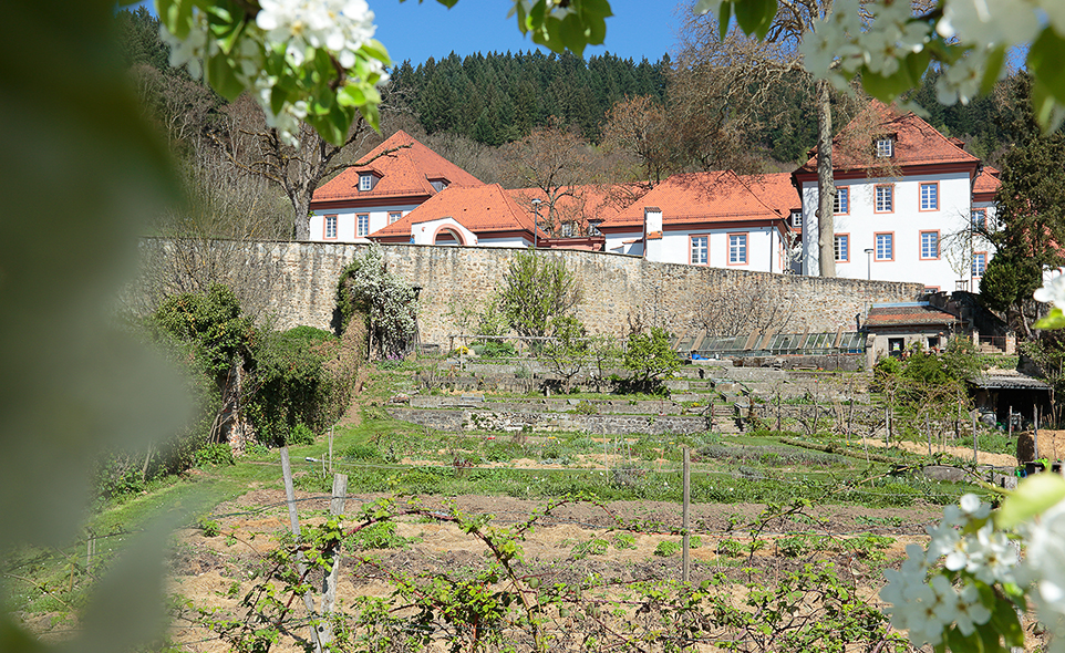 School Garden at the heart of RBC’s sustainability concept