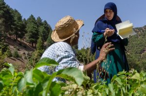 Cooperation with High Atlas Foundation