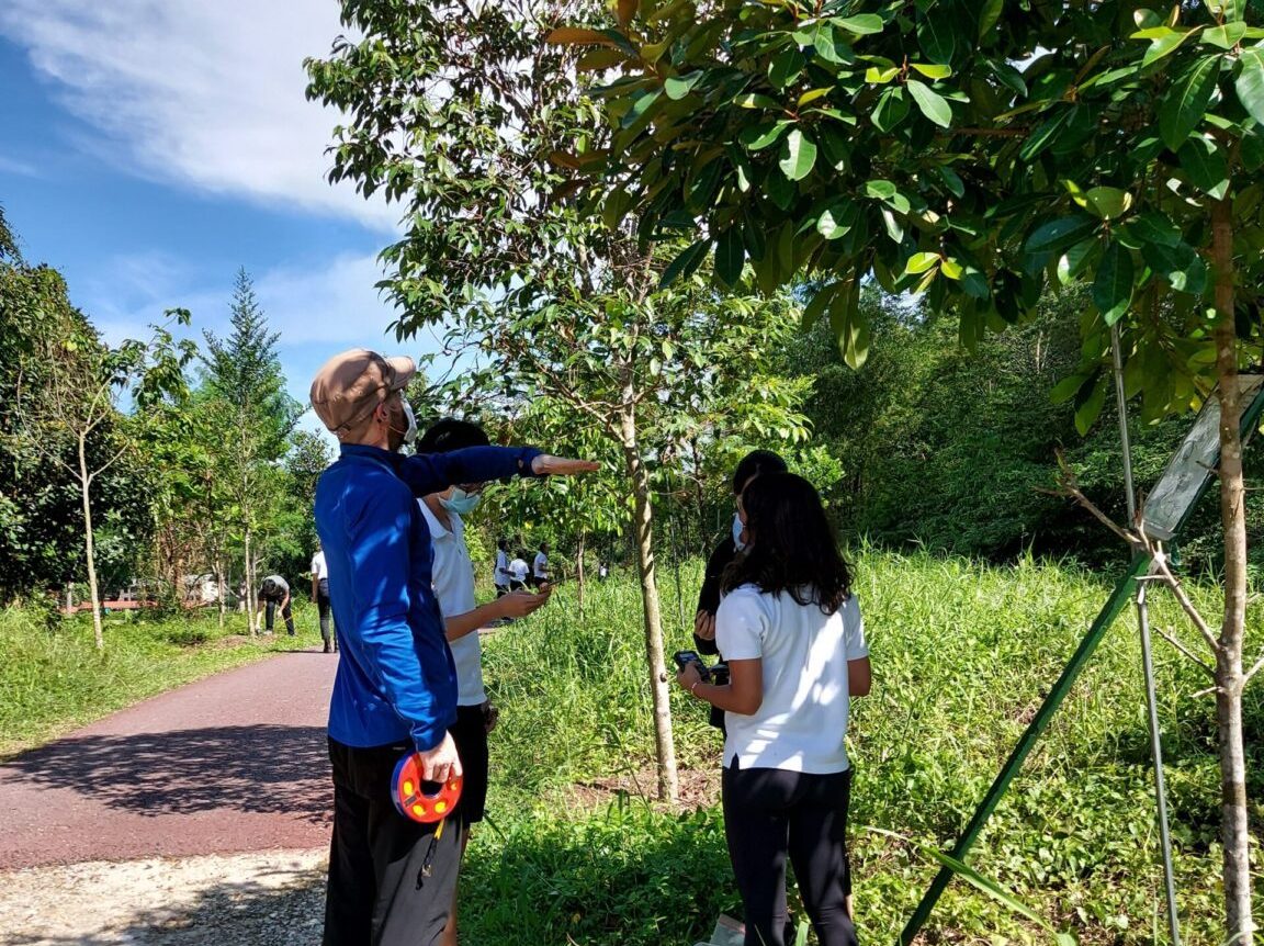 Rainforest Restoration Project
