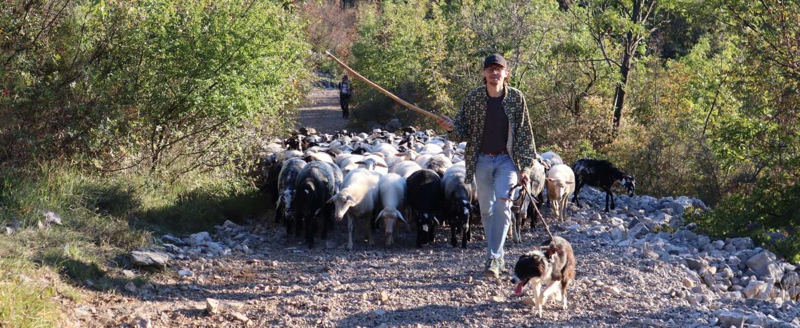 Esperienza Carsolina – an afternoon with a shepherd