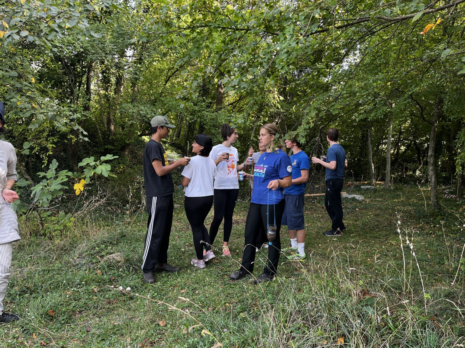 Project Week at a Permaculture Farm