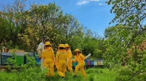 Esperienza carsolina – our environmental education CAS activity