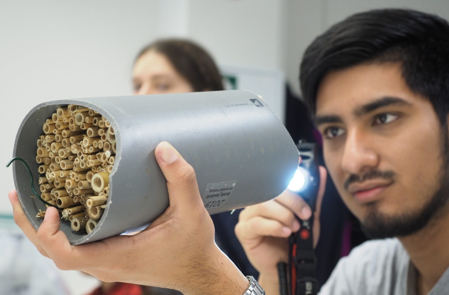 “Wild Bee Scientists” CAS at UWC RBC