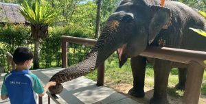 A culture of giving back at UWC Thailand