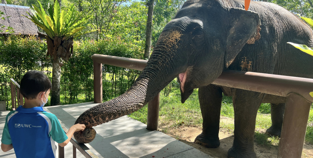 A culture of giving back at UWC Thailand