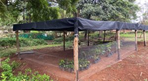 Tree Nursery at UWCEA Moshi