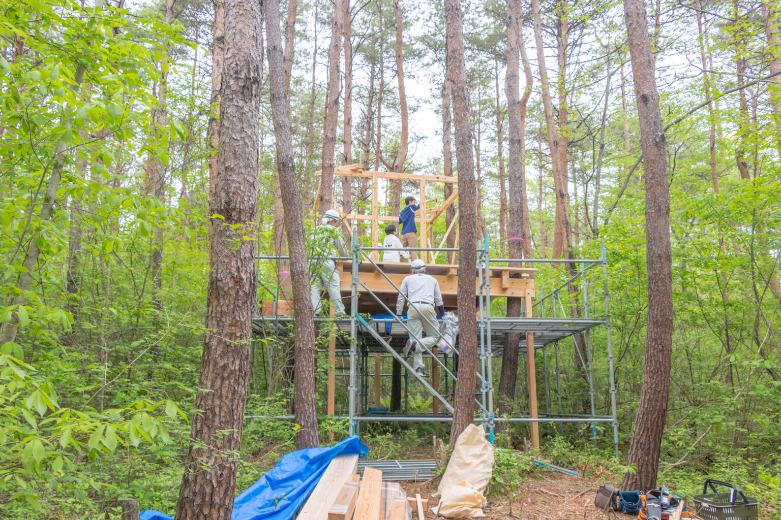 Connecting with our natural environment