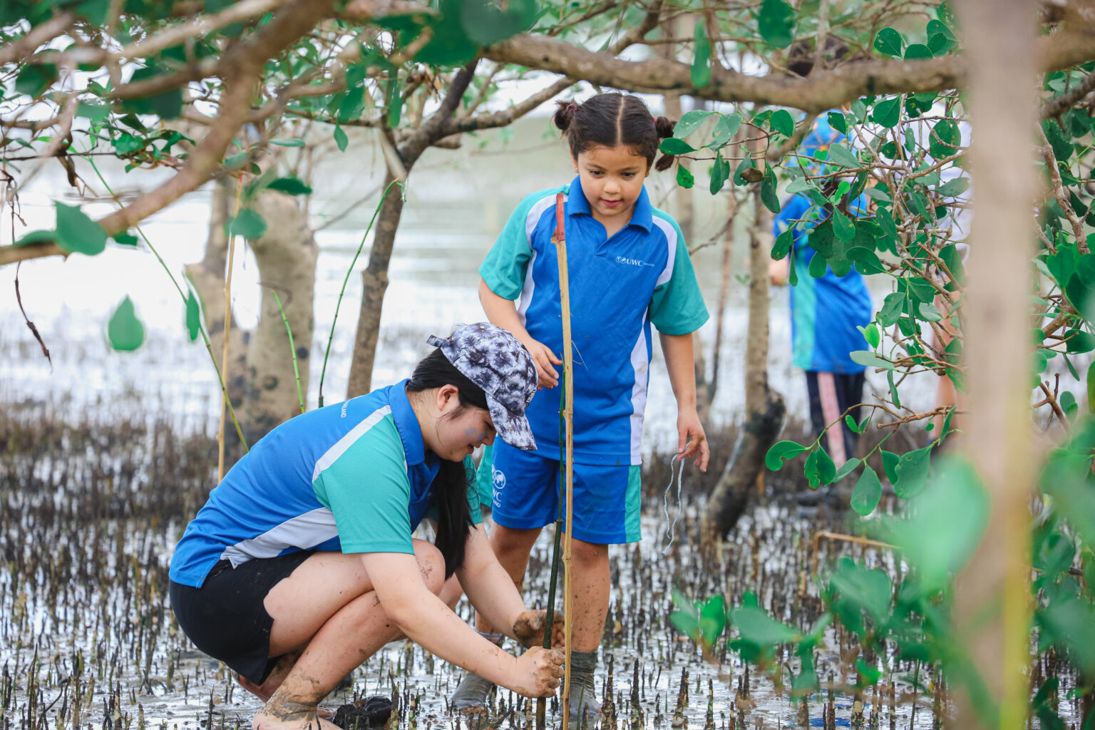 The Earth Called – UWC Thailand Answered